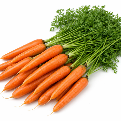 x10 Carrot Flyaway - Vegetable Transplants