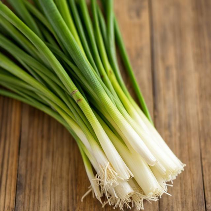 x10 Spring Onion Allium - Vegetable Transplants
